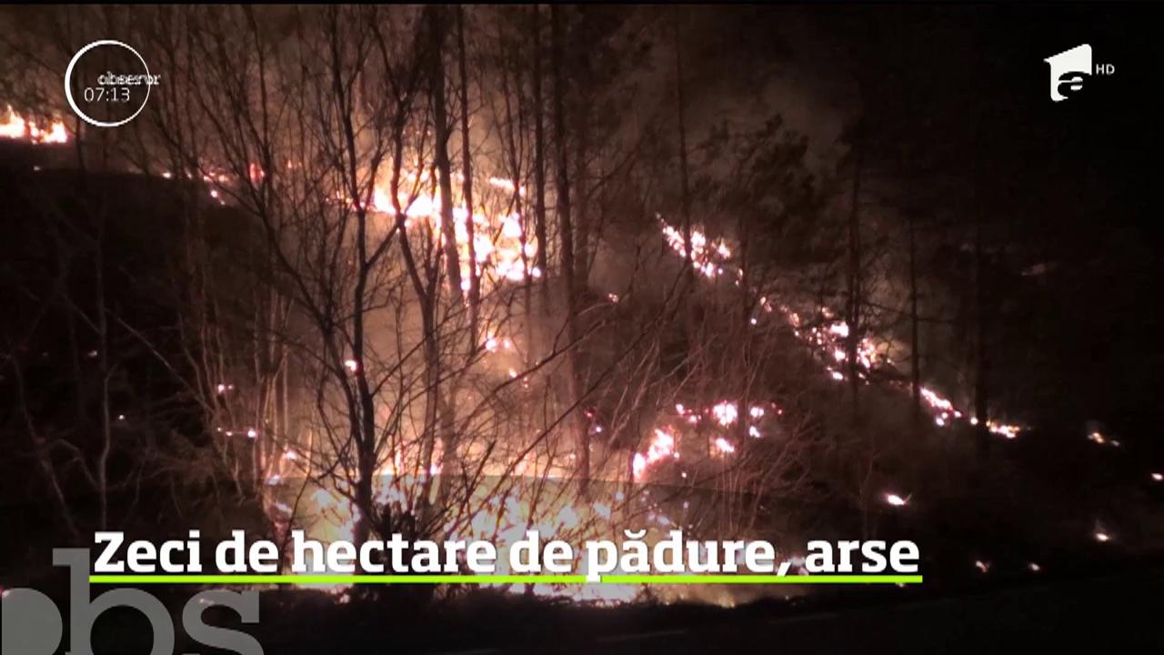 Zeci de incendii de vegetaţie fac prăpăd zilnic &icirc;n ţară. Cel mai recent caz s-a &icirc;nregistrat &icirc;n Caraş Severin