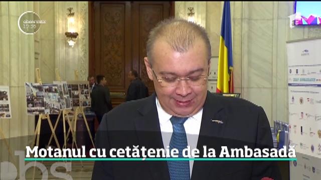 Un motan cu nume de rege a devenit mascota Ambasadei Rom&acirc;niei din Londra