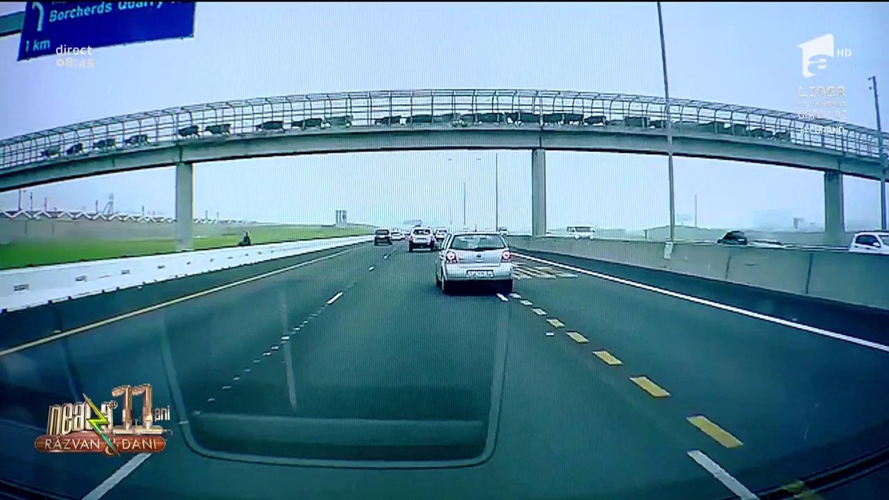 Smiley News. Vacile din Africa de Sud traversează autostrada pe pasarelă