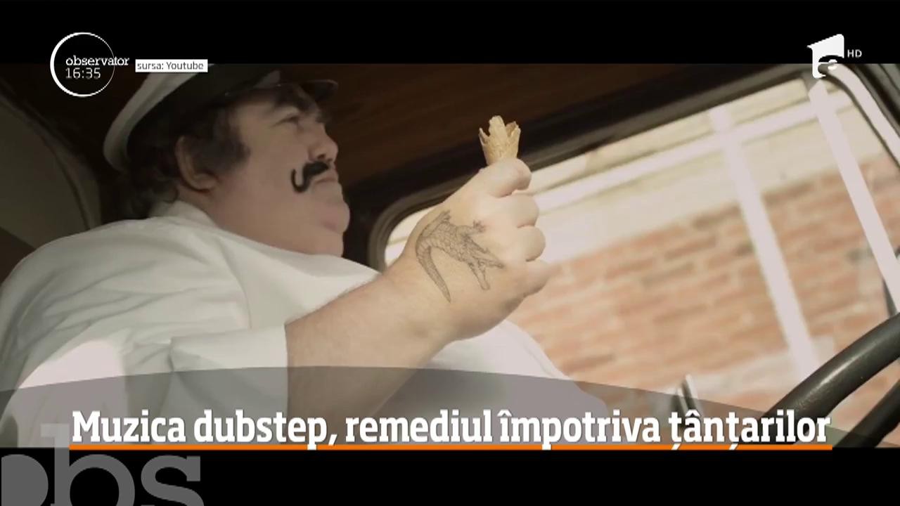 Muzica dubstep, remediul &icirc;mpotriva ț&acirc;nțarilor