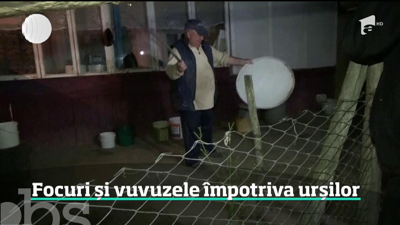 Focuri și vuvuzele &icirc;mpotriva urșilor care au năpustit &icirc;ntr-o comună din Bistriţa Năsăud