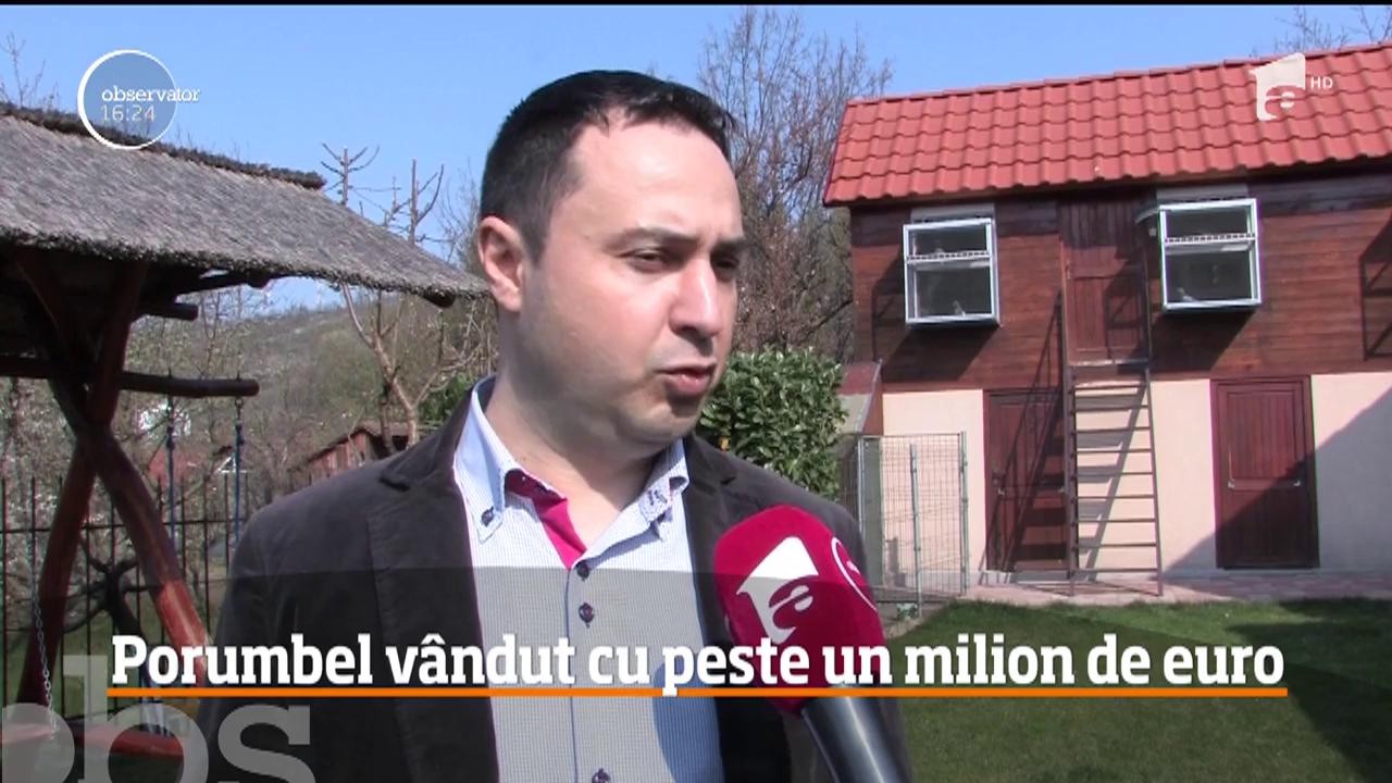 Creşterea porumbeilor voiajori, o pasiune profitabilă pentru rom&acirc;ni