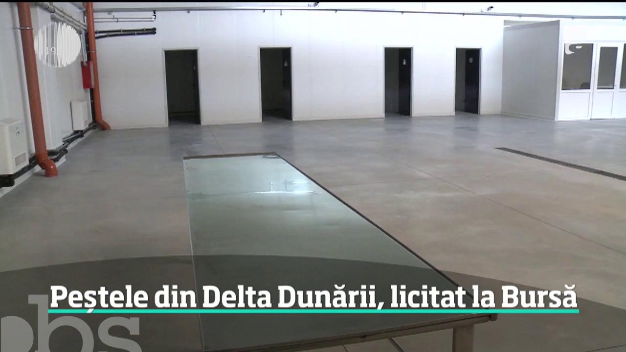 Peștele din Delta Dunării, licitat la Bursa din Tulcea