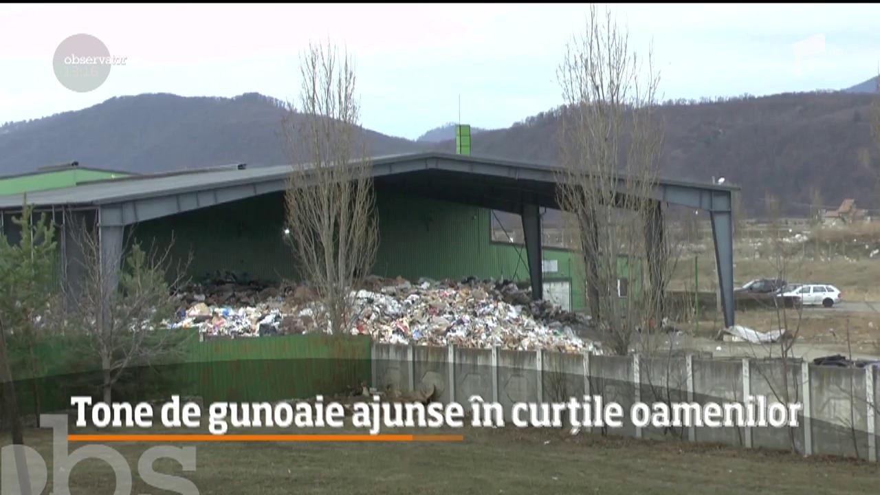 Tone de gunoaie ajunse &icirc;n curțile oamenilor din Piatra Neamț