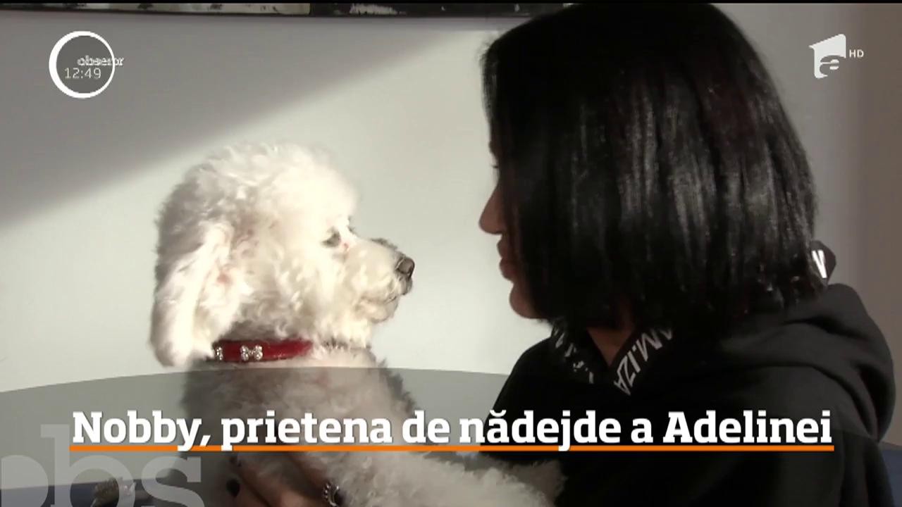 Un medic veterinar ne-a dat informaţiile necesare pentru a pregăti fără dureri de cap o vacanţă cu animalul de companie. Adelina Pestrițu vine cu sfaturi personale