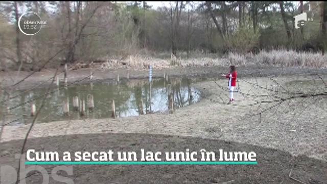 Folosirea &icirc;n exces a apelor termale &icirc;n staţiunea Băile 1 Mai a distrus o minune a naturii pentru care turiştii veneau an de an &icirc;n Bihor