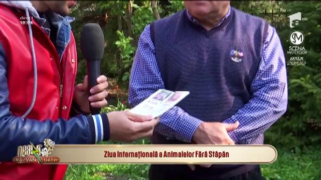 Ziua Internațională a Animalelor Fără Stăp&acirc;n! Marius Marinescu: "La multi ani!"