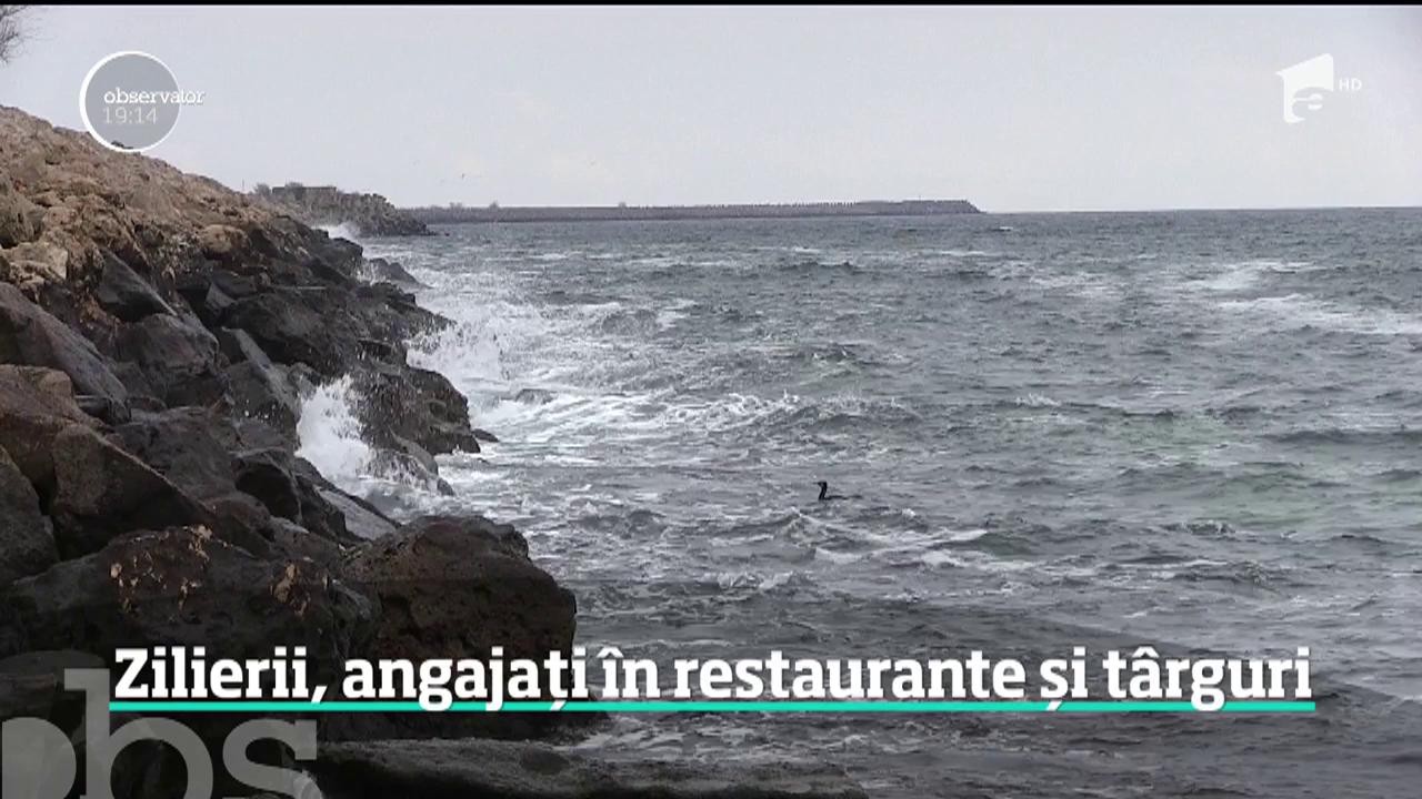 Zilierii ar putea fi o soluţie pentru criza forţei de muncă. Vor putea lucra &icirc;n toate domeniile