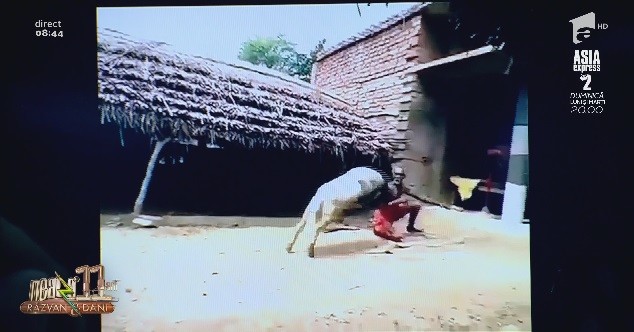 Smiley News. Nea Alecu din India se antrenează cu un berbec. Loviturile îl aruncă la câțiva metri distanță! Video