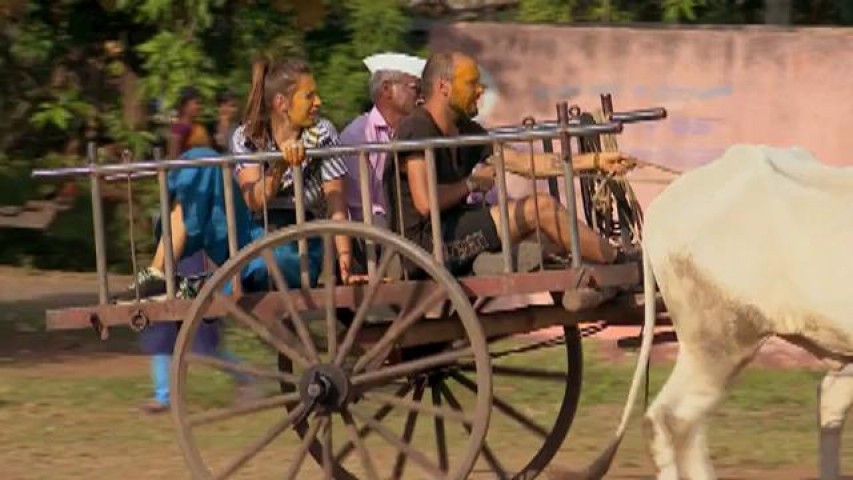 Cocuţa şi Bogdan şi Şerban şi George se vor &icirc;ntrece cu nişte căruţe trase de tauri! "Ne este foarte frică! Trebuie să &icirc;nvăţăm să-i m&acirc;năm!"