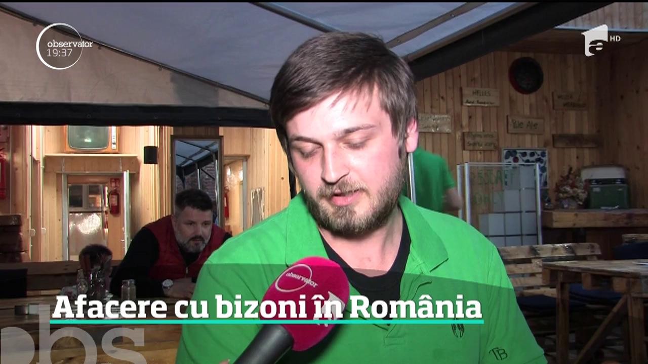 Rom&acirc;nii prind gustul unui nou tip de carne! Burgerii şi friptura de bizon &icirc;şi fac loc &icirc;n meniurile restaurantelor
