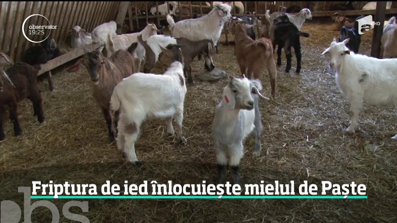 Mielul de Paşti are concurenţă serioasă. Pe mesele rom&acirc;nilor va sta &icirc;n acest an friptura de ied