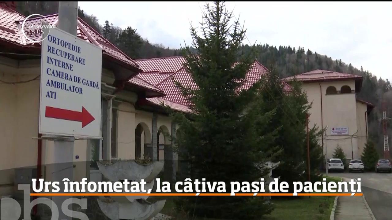 Un urs &icirc;nfometat a intrat &icirc;ntr-o clinică din Azuga, &icirc;n timp ce &icirc;n curte se aflau mai mulţi pacienţi şi angajaţi ai instituţiei