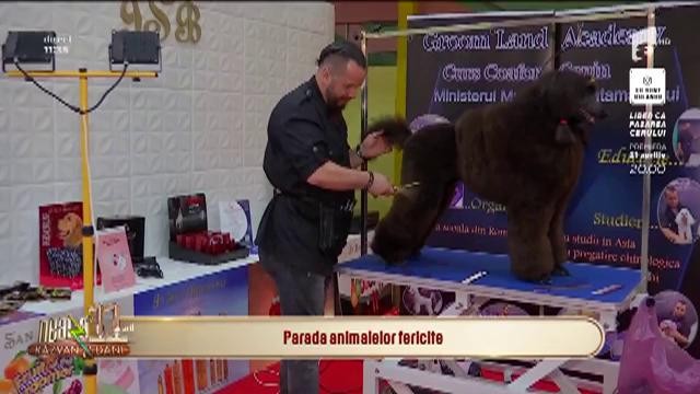 PetExpo, t&acirc;rg dedicat animalelor! Ilie Pană, organizator: Vrem să le răsfățăm cu primul parc de distracții dedicat lor