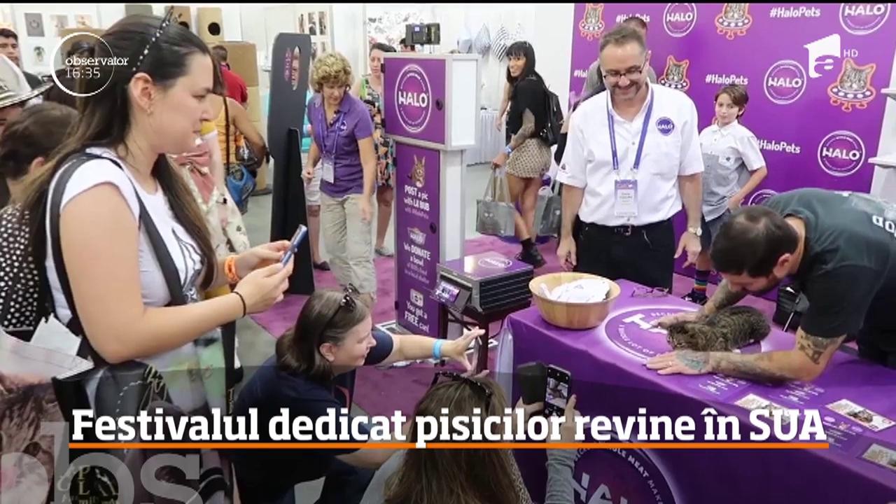 Cel mai mare festival din lume dedicat pisicilor revine &icirc;n Statele Unite!