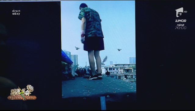 Smiley News. Cei mai disciplinați porumbei. Iată ce se &icirc;nt&acirc;mplă c&acirc;nd aud chemarea stăp&acirc;nului