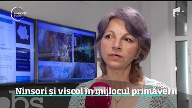 Ninsori şi viscol &icirc;n mijlocul primăverii! Mai mulţi turişti au fost la un pas să &icirc;ngheţe pe un traseu din Bucegi