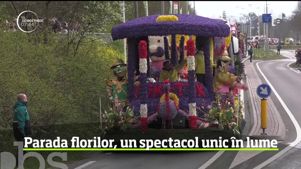 Cea mai mare paradă a florilor din lume a putut fi admirată &icirc;n Olanda, supranumită Ţara Lalelelor