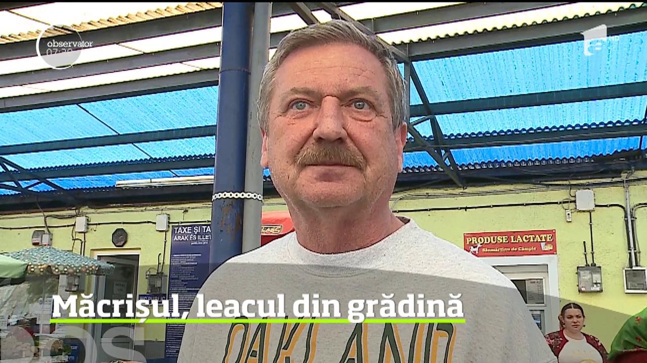 Supele sau salatele cu frunze de măcriş sunt preparatele perfecte, &icirc;n perioada de post