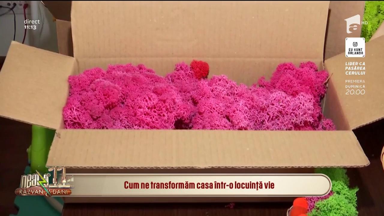 Cum ne transformăm casa &icirc;ntr-o locuință vie