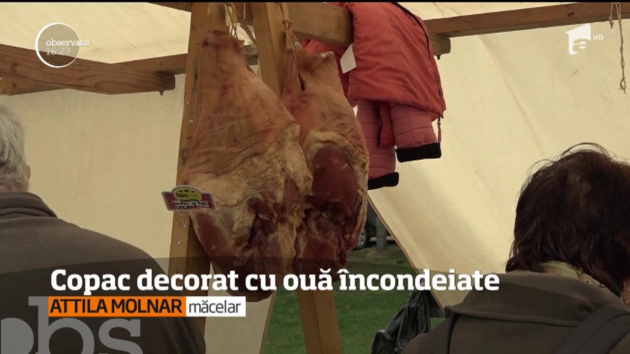 Catolicii din lumea &icirc;ntreagă se pregătesc pentru &Icirc;nvierea M&acirc;ntuitorului! La Ghiorghieni, &icirc;n judeţul Harghita, au &icirc;mpodobit un copac din centrul oraşului
