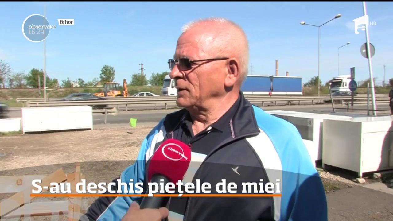 S-au deschis pieţele de miei! C&acirc;t costă un kilogram de carne