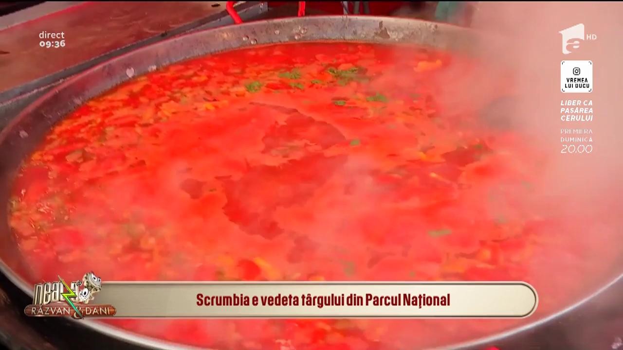 Cozonacii şi scrumbia &icirc;ţi vor umple farfuria! Duţă prezintă meniul de la festivalul pescăresc