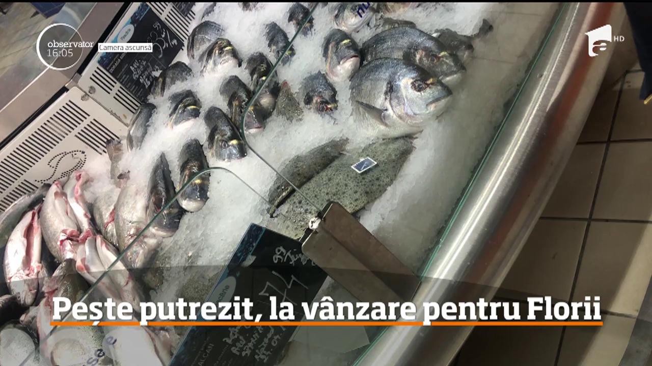 Pește putrezit, la v&acirc;nzare pentru Florii. &Icirc;n goana după bani, comercianţii nu mai au nimic sf&acirc;nt