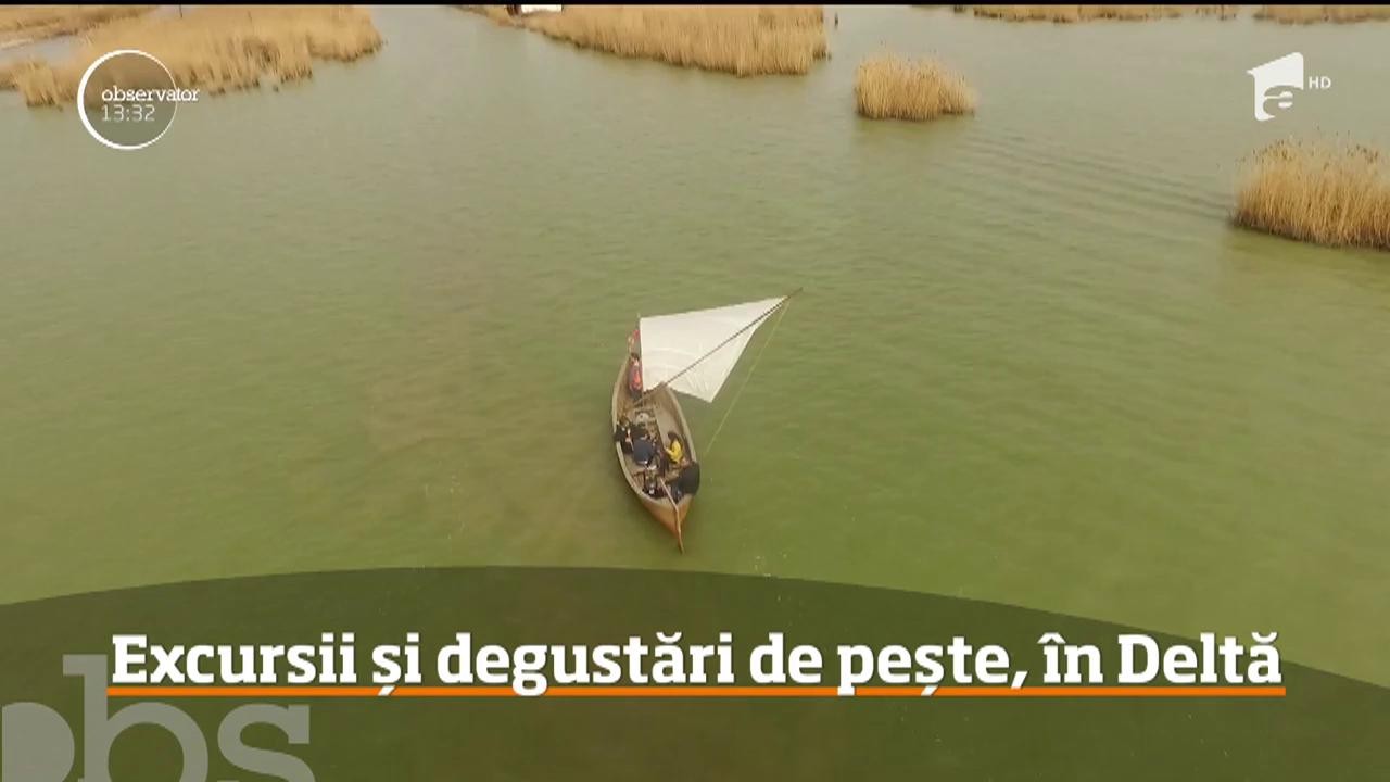 Excursii și degustări de pește, &icirc;n Delta Dunării