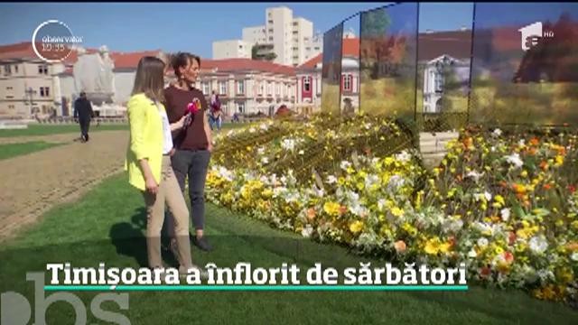 Timişora a &icirc;nflorit de sărbătoarea Floriilor. Milioane de flori au &icirc;mp&acirc;nzit oraşul