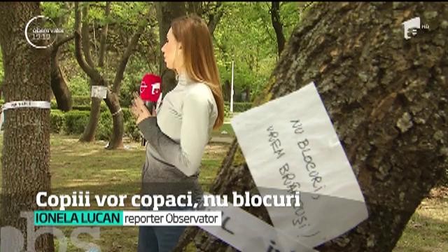 Zeci de copaci cu nume de copii &icirc;ntr-un parc din Capitală. Este modul &icirc;n care cei mici &icirc;ncearcă să oprească distrugerea unui parc &icirc;n care au intrat deja buldozere