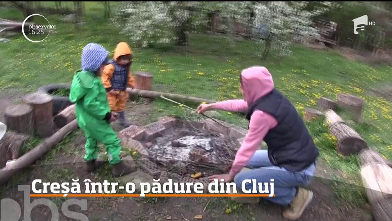 O comunitate de părinţi din Cluj-Napoca a decis să &icirc;şi educe copiii &icirc;ntr-un mod diferit!