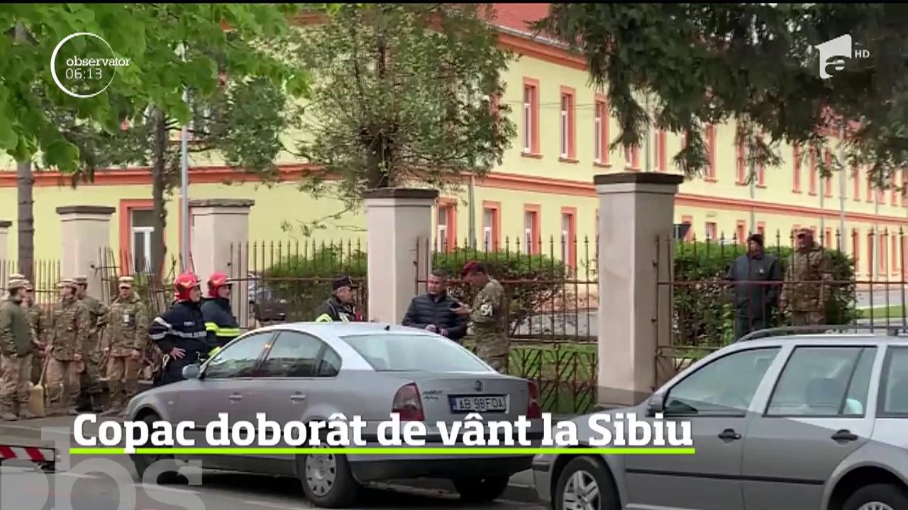 V&acirc;ntul puternic a dobor&acirc;t un copac &icirc;n Sibiu şi a avariat două maşini, &icirc;n timp ce pe Transfăgărăşan a nins abundent