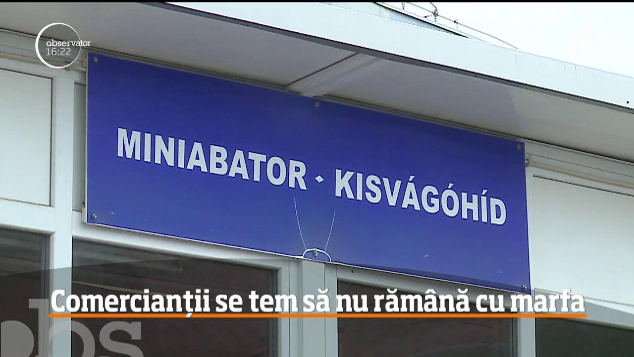 Prețul mielului, &icirc;n scădere