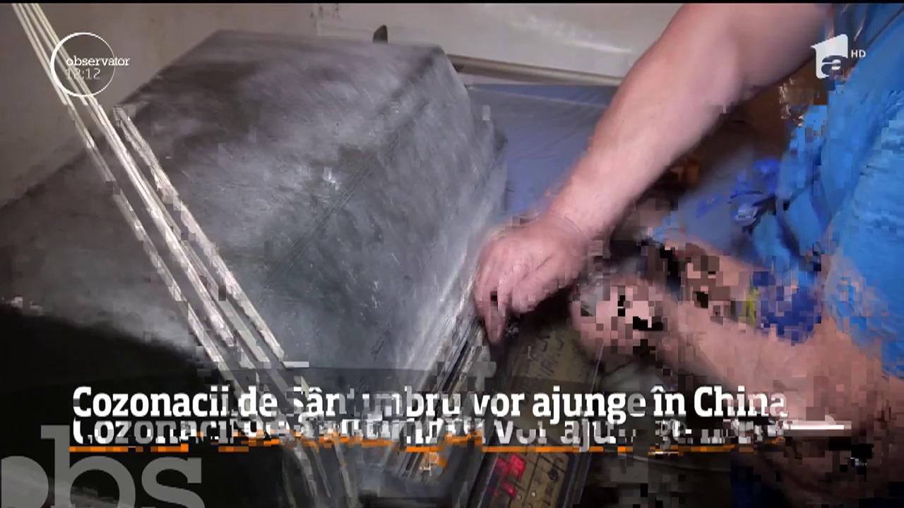 Colacul de S&acirc;ntimbru, un cozonac tradiţional, va ajunge &icirc;n China