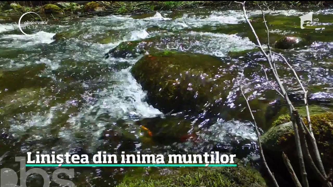 Locul &icirc;n care tot mai mulţi turişti &icirc;şi găsesc liniştea sufletească se află &icirc;n Retezat