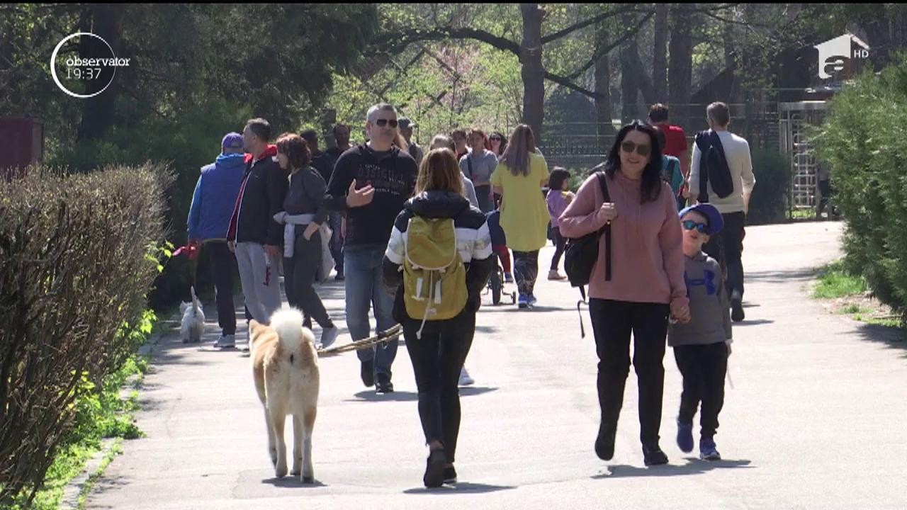 Rom&acirc;nia se află pe harta tristeţii