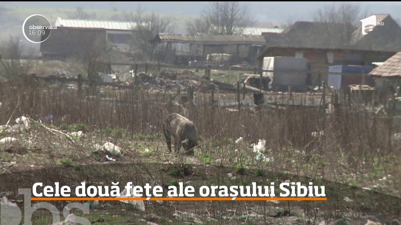 O altă faţă a Sibiului! Străzi neasfaltate, barăci fără curent electric şi munţi de gunoaie din cartierele mărginaşe