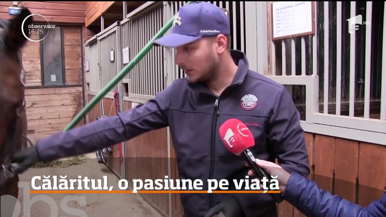 Echitația, o pasiune pe viață. Clujenii pot &icirc;mbina sportul cu relaxarea la un centru de călărie de l&acirc;ngă oraş