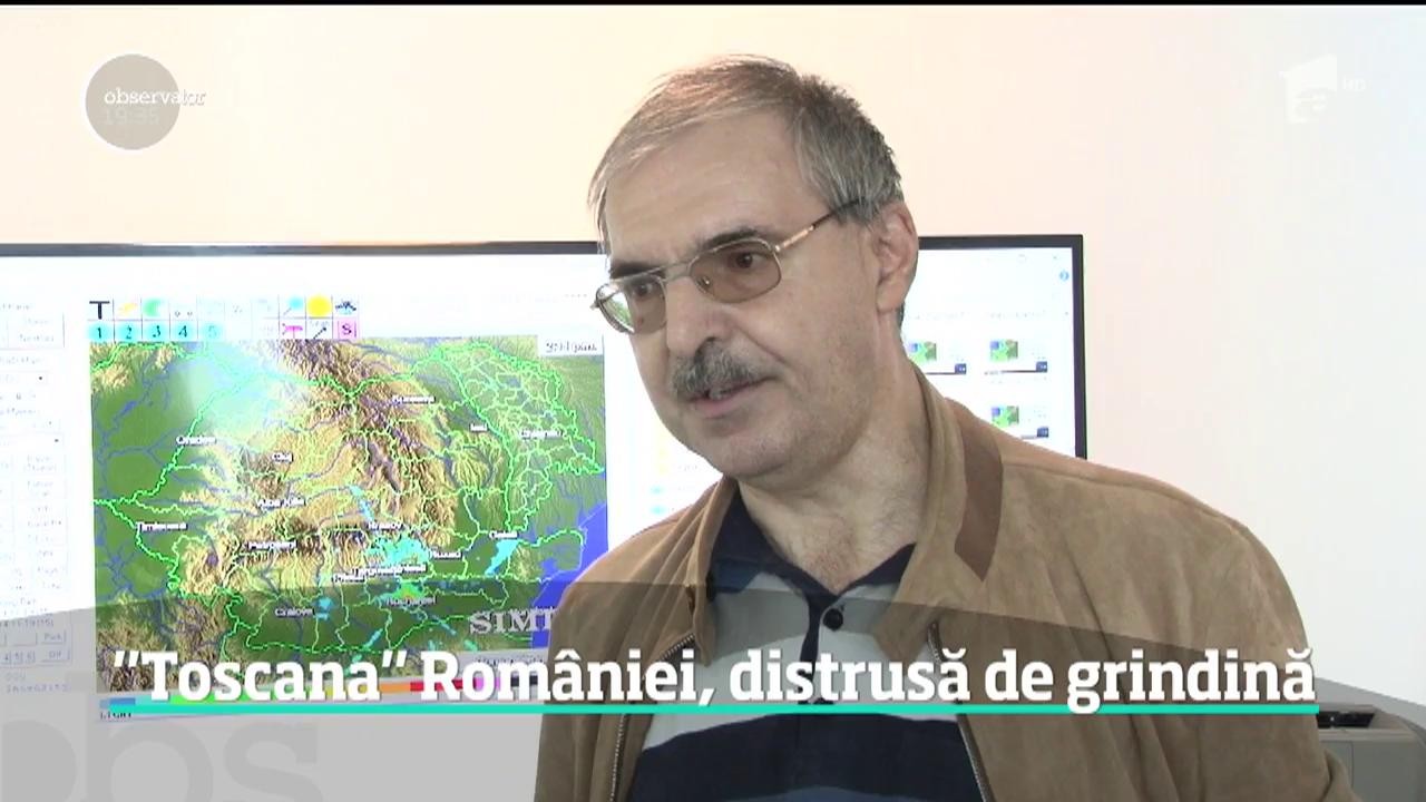 Grindina de mărimea unei căpşuni a pus la păm&acirc;nt renumitele podgorii din Prahova