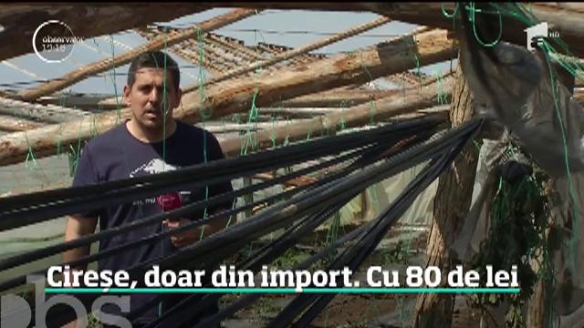 Au apărut cireşele &icirc;n pieţe, dar la preţuri care &icirc;ţi taie pofta. Un kilogram costă c&acirc;t patru de carne