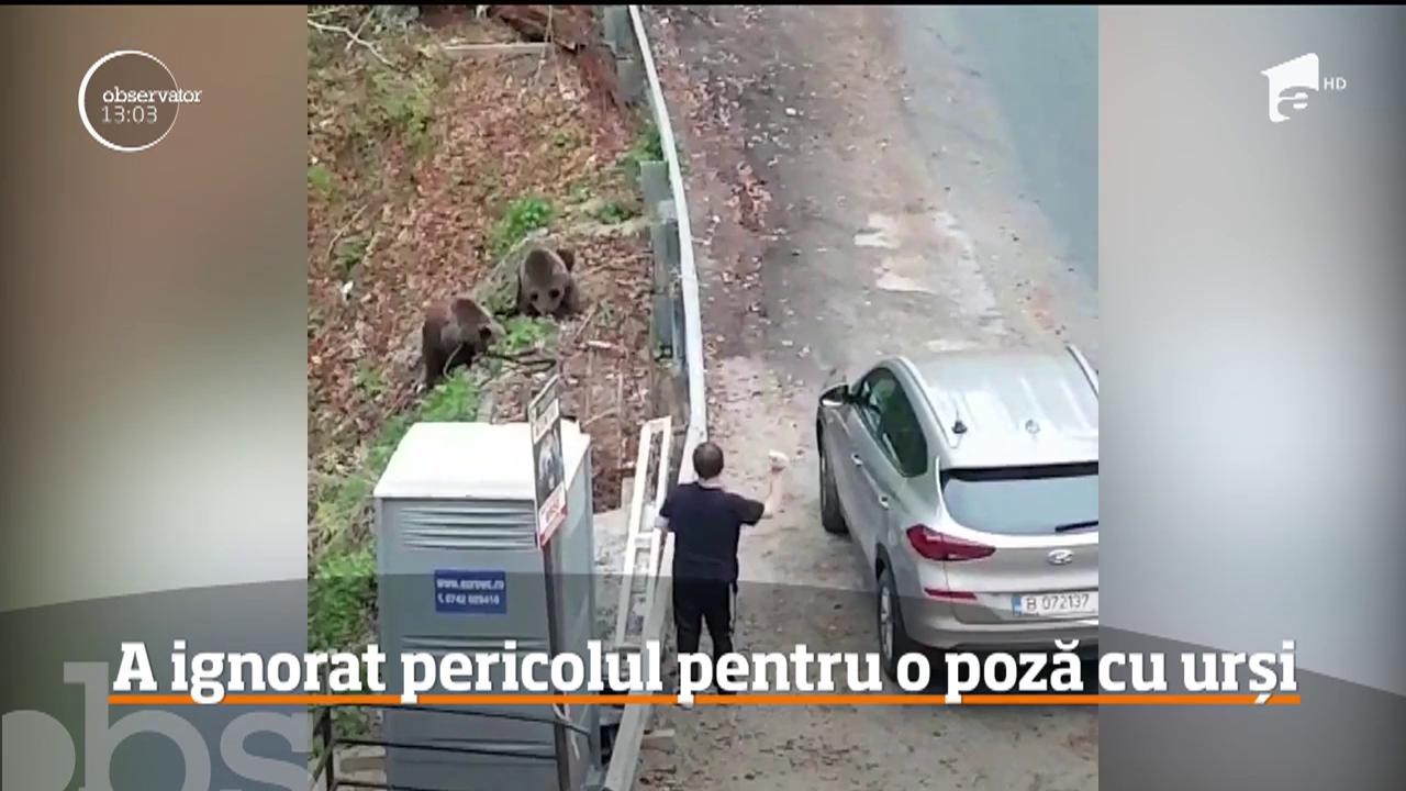 &Icirc;nt&acirc;lnire mai puțin obișnuită la barajul Vidraru! Doi pui de urs au cobor&acirc;t din pădure &icirc;n căutarea hranei