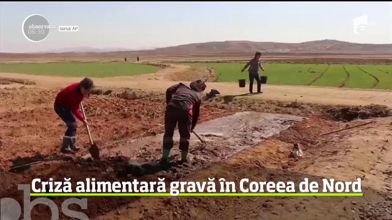 Criză alimentară gravă &icirc;n Coreea de Nord