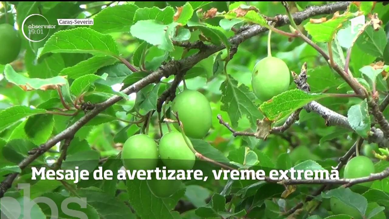 Alertă meteo de vreme severă. Valul de aer polar va lovi Rom&acirc;nia