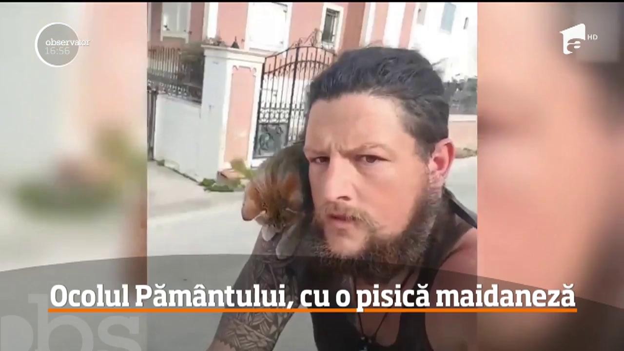 Un scoțian face ocolul păm&acirc;ntului alături de o pisică maideneză