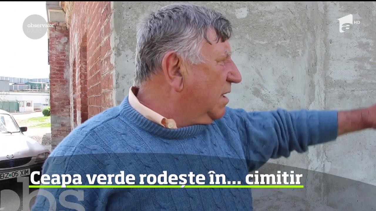 Criza terenurilor din oraşe este at&acirc;t de mare &icirc;nc&acirc;t improvizaţiile grădinarilor de ocazie sunt tot mai surprinzătoare