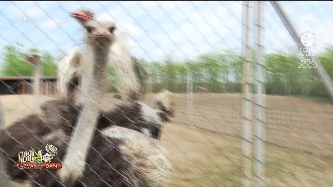 Domeniul Gruiu, locul de vis unde &icirc;ți poți petrece timpul liber alături de prieteni și familie