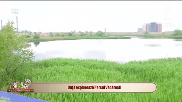 Asociația Parcul Natural Văcărești caută voluntari și rangeri. Ce trebuie să faci dacă vrei să dai o m&acirc;nă de ajutor