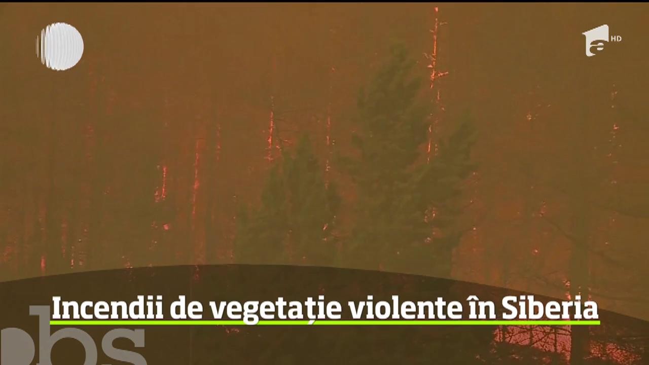 Flăcările se extind ameninţător &icirc;n pădurile din Siberia