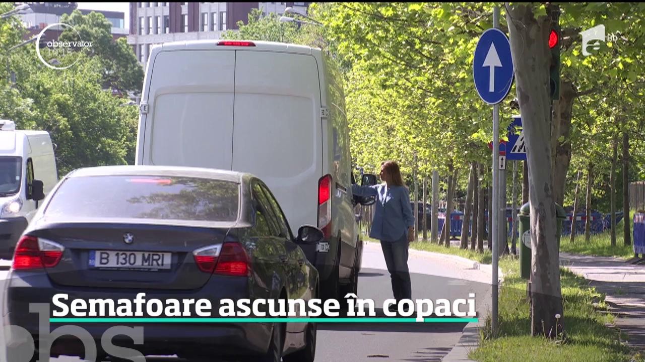 &Icirc;n Bucureşti, multe semafoare şi indicatoare rutiere sunt ascunse pur şi simpu &icirc;n copaci